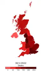 Actual cumulative COVID-19 deaths by region