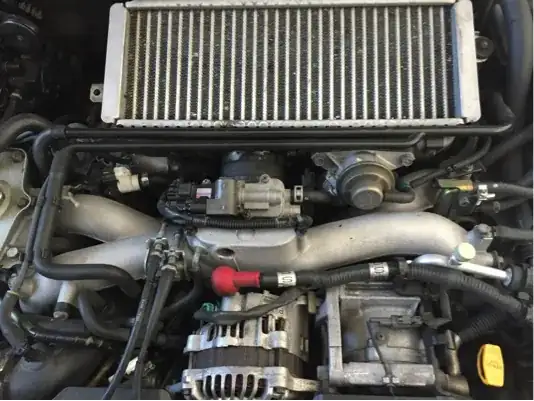 The same hose with a little more context.