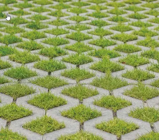 grass paving blocks sample picture