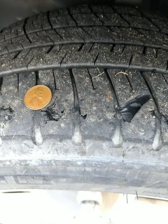 small gashes and penny for scale