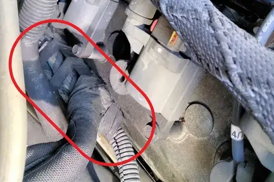 electrical wiring harness