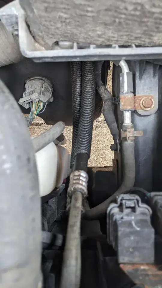 dirty radiator hoses