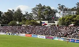 The crowd during a rugby match in 2015