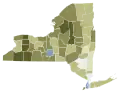 New York 2021 Proposal 3 results by county