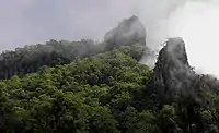 The Needle and The Thimble,  Nimbin Rocks in storm lighting