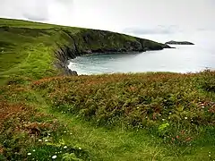 Above the beach at Mwnt