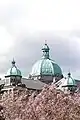 BC Legislative Building with cherry trees in bloom, Victoria, British Columbia