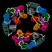 Bacteriorhodopsin trimer with one retinal molecule in each subunit seen from the extracellular side EC (PDB ID: 1X0S ).