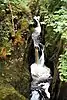 Baxengill Gorge, River Doe, near Ingleton