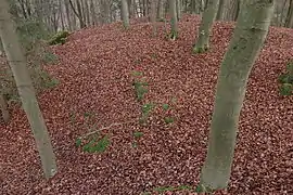L-shaped foundation wall remains (November&nbsp;2013)
