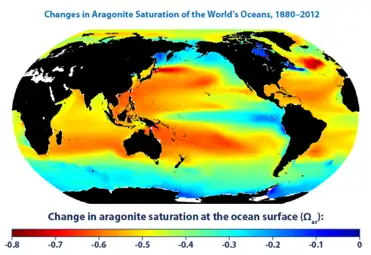 Decreases in aragonite saturation make it more difficult for marine organisms like pteropods to build calcium shells