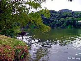 The Dos Bocas Lake in Don Alonso