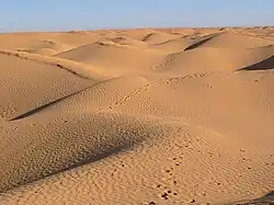 Landscape of the sand dune 'seas' of the Grand Erg Oriental. Other areas are bare rock. There are also Oases, and oil extraction zones.