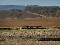 Farmland near Rogate