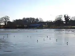 Frozen lake with birds on top of it