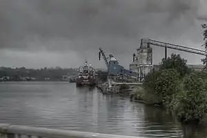 View from the Demerara River
