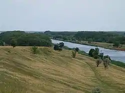 Landscape in Martynovsky District