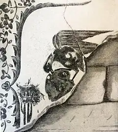 The eagle and the pheasant