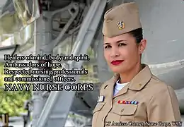 LT Annissa Cromer, Nurse Corps, USN, 2010.