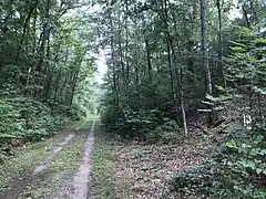 N = Northampton 36 miles (58&nbsp;km) marker. Restored with new paint. Hardwick