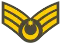 Baş gizir(Azerbaijani Land Forces)