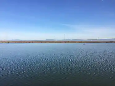 Marshland above high tide