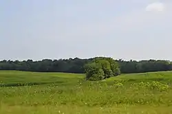Countryside east of Catawba