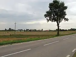 National road in Kurpiki