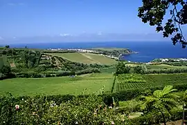 The expanse of tea fields from the regional roadway looking towards the coastal community of Porto Formoso
