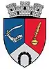 Coat of arms of Săliștea de Sus