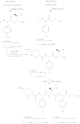 4 - Synthesis of Orn10-Gly14 Subunit