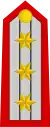 Colonel
