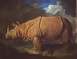 Rhinoceros (ca. 1780-91), oil on canvas, 69.9 x 92.7&nbsp;cm., private collection