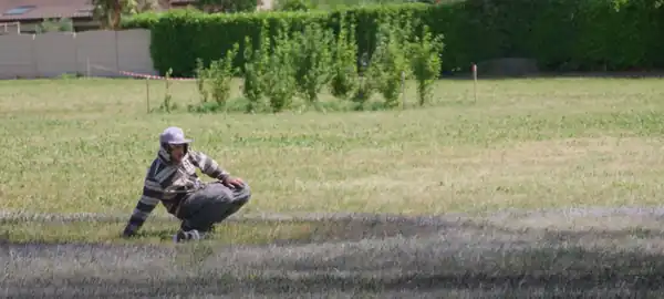 Saype (Guillaume Legros) at work for the ArtiChoke festival, 2019