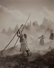 Slashing-and-burning in Eno, Finland, in 1893