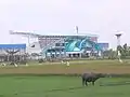 View of stadium from the rice fields.