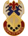 145th Brigade Support Battalion"Born Of Pride"