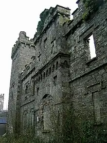 Facade of the castle's ruined west-wing and tower
