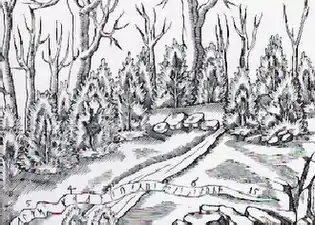 Worm's illustration of the Runamo inscription, wherein he asserted he could read the name Lund; the "inscription" later was found to be natural formations in the rock