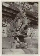 Makara-pranala at Borobudur, Indonesia