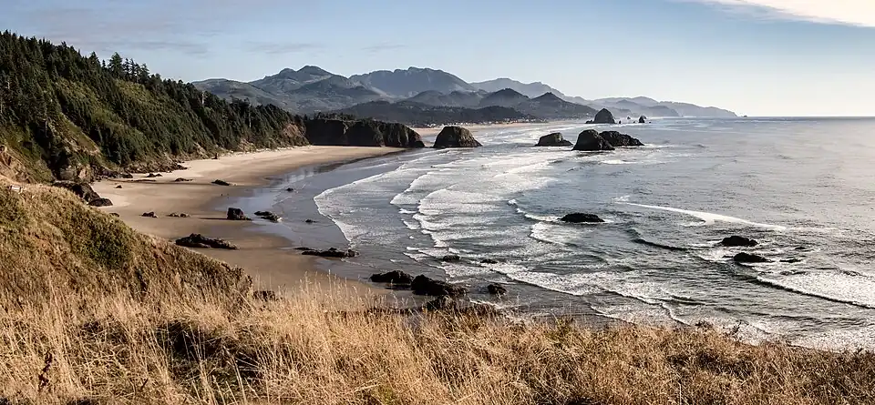 Picture of Oregon coastline