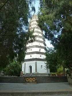 Langzhong_White_Pagoda