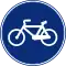 Cycle track (ES)